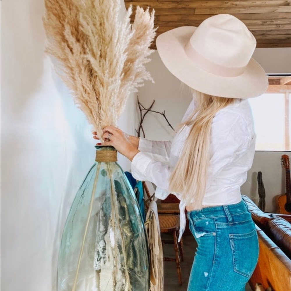 Pampas Grass 4 stems!